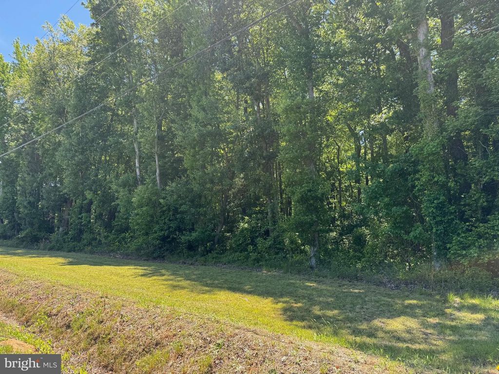 Lot 1 BLACKBERRY RD, Reedville, VA 22539