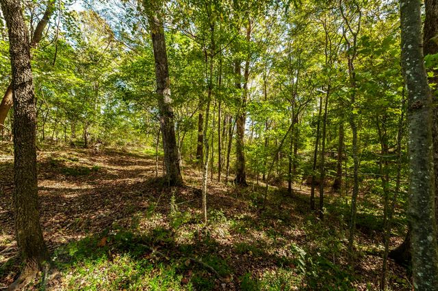 0 Highway 52E, Portland, TN 37148