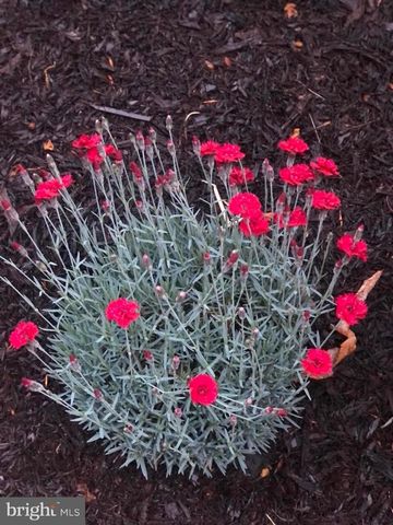 20709 RIPTIDE SQ, Sterling, VA 20165