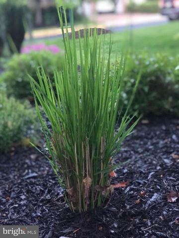 20709 RIPTIDE SQ, Sterling, VA 20165