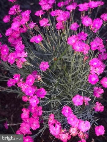 20709 RIPTIDE SQ, Sterling, VA 20165