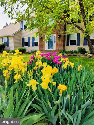206 W THOMAS CT, Middletown, DE 19709