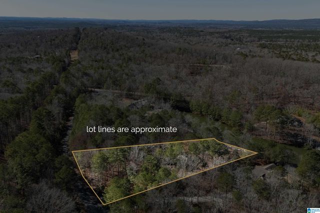 89 DEERWOOD LAKE DRIVE, Harpersville, AL 35078