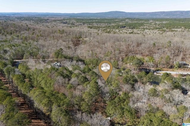 89 DEERWOOD LAKE DRIVE, Harpersville, AL 35078