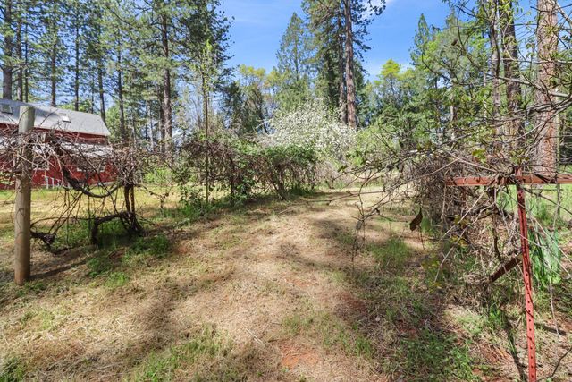 3097 Fort Jim Rd, Placerville, CA 95667