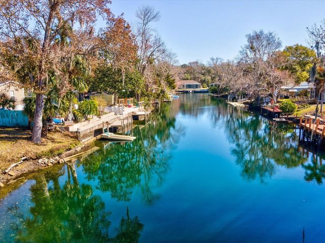 6419 W RICHARD DRIVE, Weeki Wachee, FL 34607