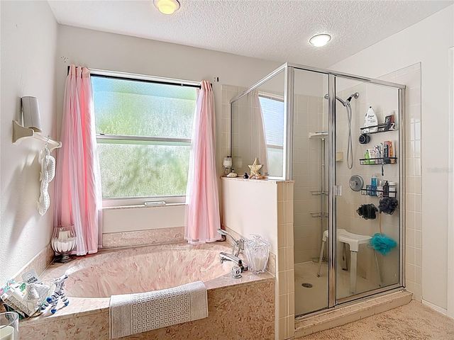 459 BALLYSHANNON DRIVE, Davenport, FL 33897