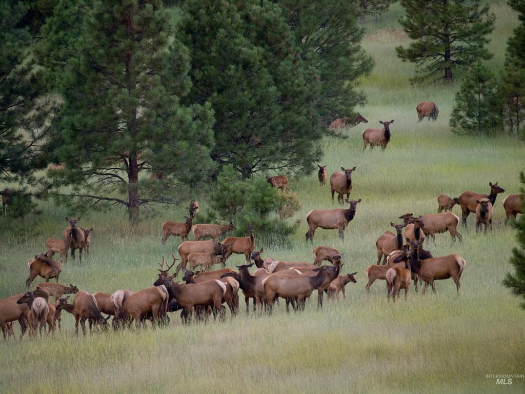 Blk 8 Lot 22 Wapiti Ct, Garden Valley, ID 83622 photo 45