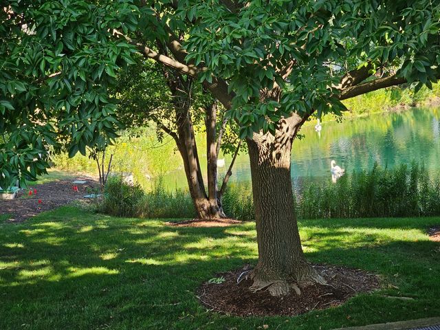 352 Kelburn Road 222, Deerfield, IL 60015
