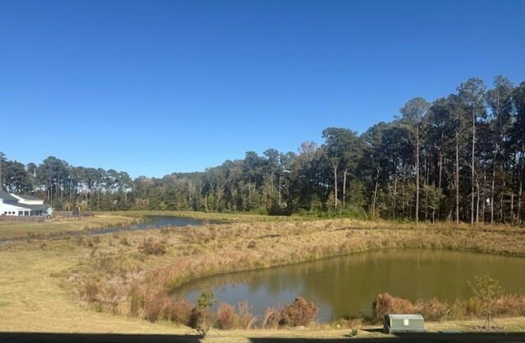 418 Great Egret, Summerville, SC 29486