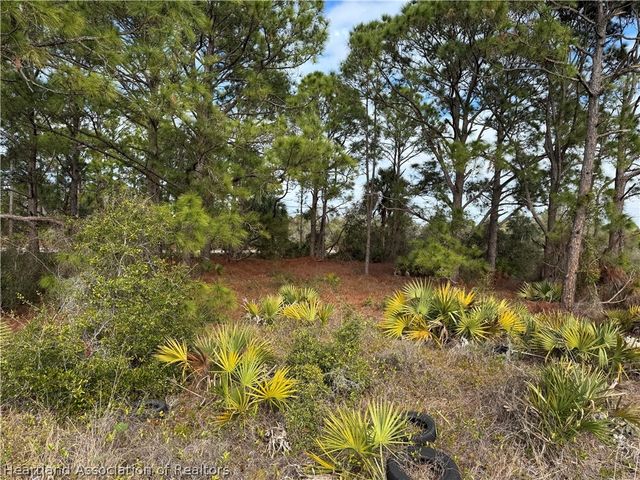 401 Fawnwood Avenue, Lake Placid, FL 33852