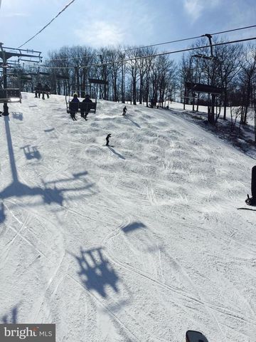 38 ALPINE, Lake Harmony, PA 18624