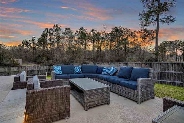 251 Soaring Pines Place, Montgomery, TX 77316