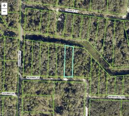 7200 Norway ST, Webster, FL 33597
