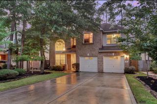 11 Dalea Place, The Woodlands, TX 77382