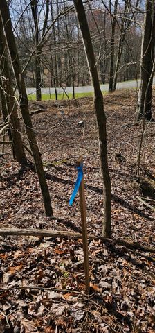 0 Raulston Falls Road Sv306, Jasper, TN 37347