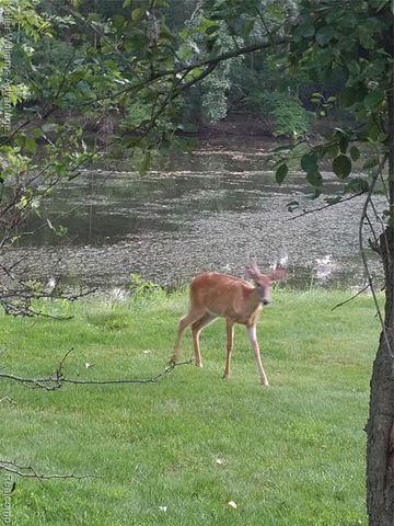 4555 Arrowhead Road, West Bloomfield, MI 48323