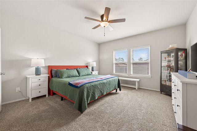 14927 Prickly Pear Cove, Magnolia, TX 77354