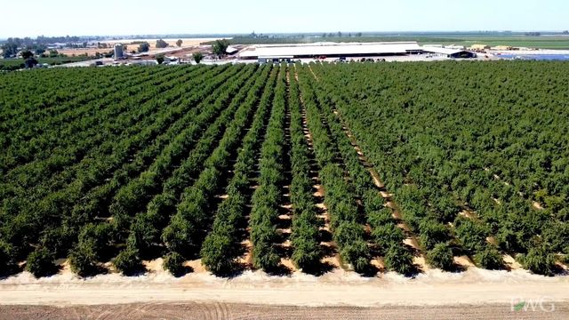 Rd 120, Pixley, CA 93256