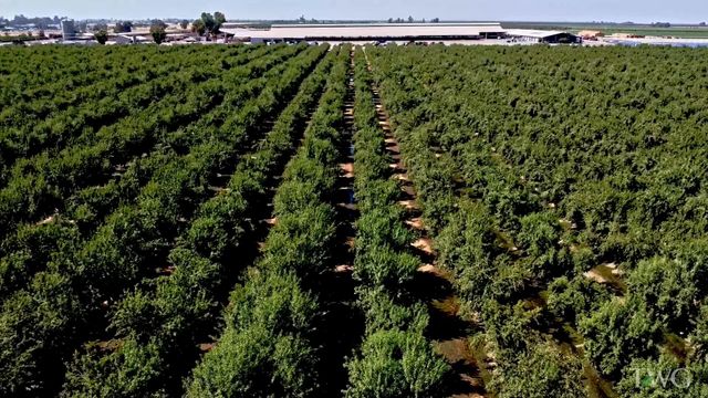 Rd 120, Pixley, CA 93256