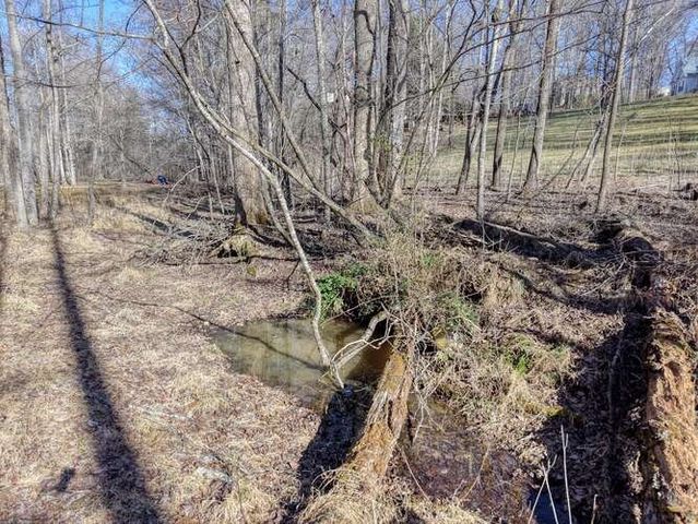 Lot 6, 7 Duncan Mill, Blairsville, GA 30512