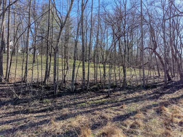 Lot 6, 7 Duncan Mill, Blairsville, GA 30512