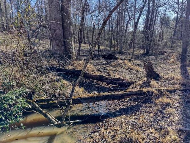 Lot 6, 7 Duncan Mill, Blairsville, GA 30512