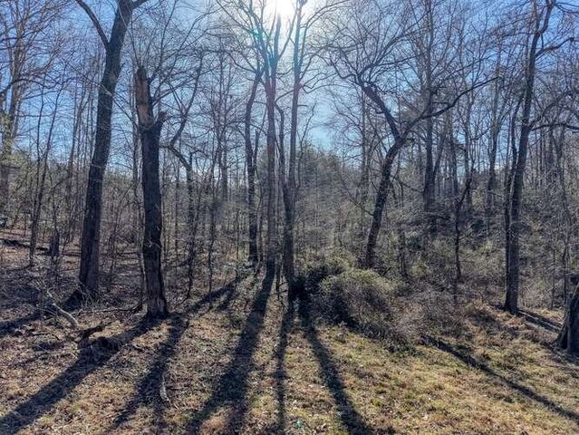 Lot 6, 7 Duncan Mill, Blairsville, GA 30512