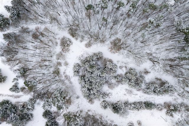 1115 Hamilton Road, Battle Creek, MI 49017