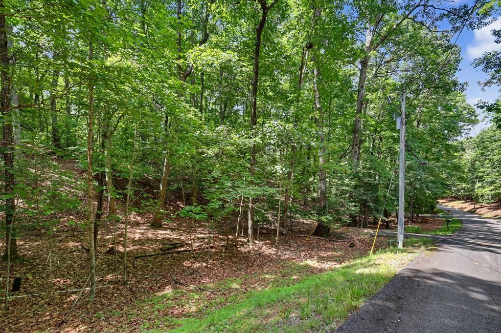Tract 3 Wilmar Circle, Blairsville, GA 30512