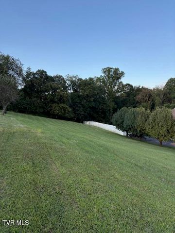 0 Pawnee Court, Kingsport, TN 37664