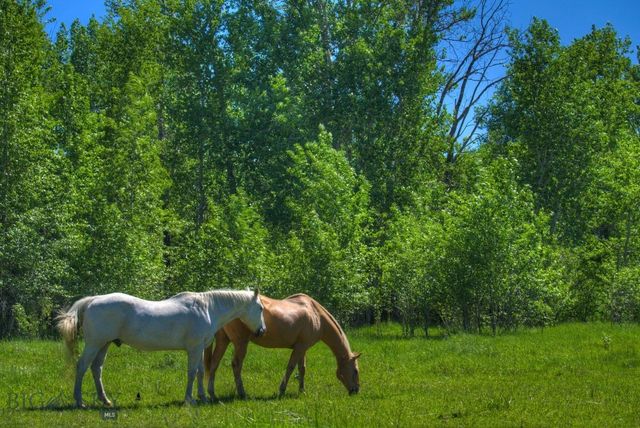 13830 (Tract B) Cottonwood Road, Bozeman, MT 59718