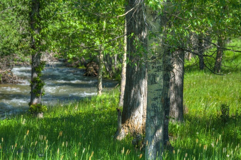 13830 (Tract B) Cottonwood Road, Bozeman, MT 59718 photo 4