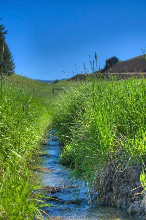 13830 (Tract B) Cottonwood Road, Bozeman, MT 59718 photo 5