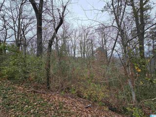 1024 MELODY DRIVE, Birmingham, AL 35214