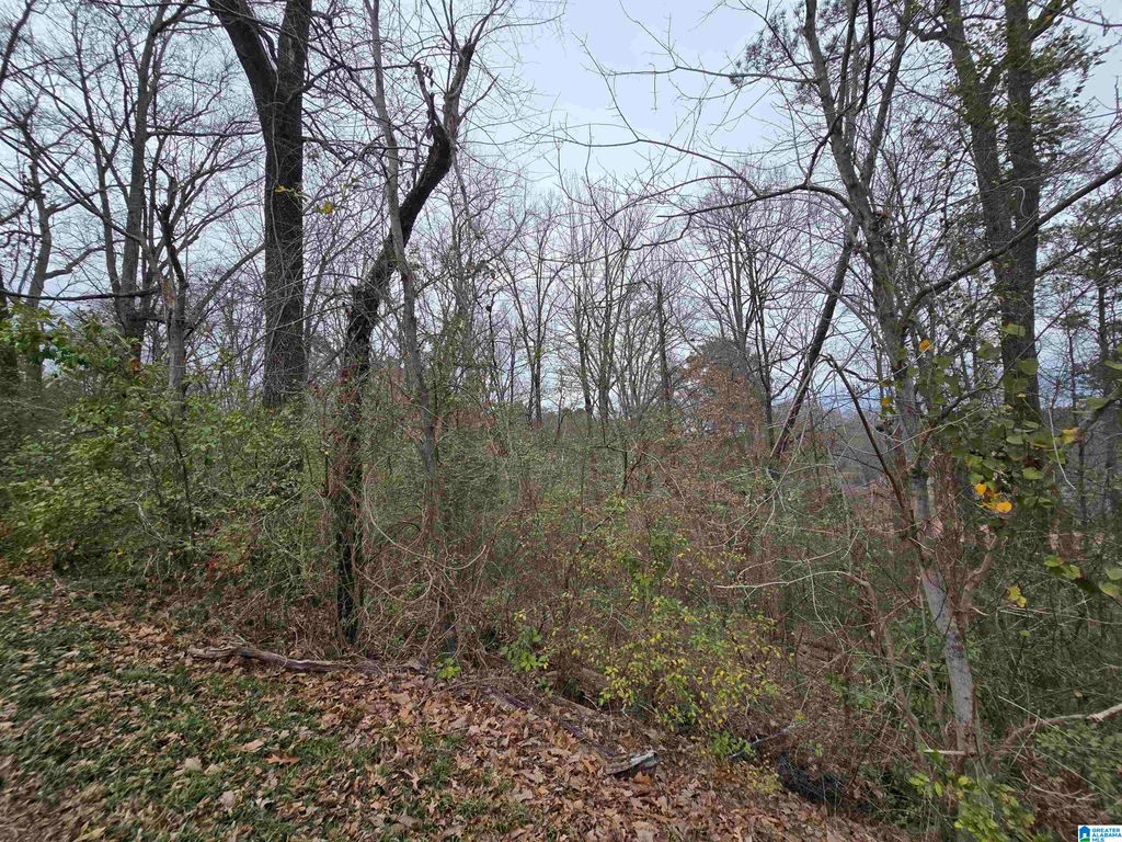 1024 MELODY DRIVE, Birmingham, AL 35214