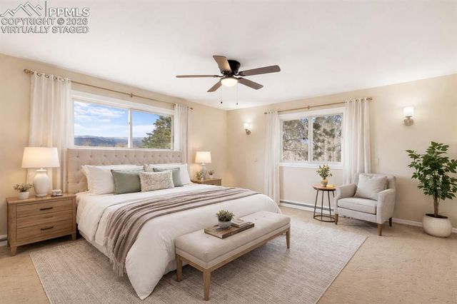 1874 Vagabond Creek Drive, Lake George, CO 80827