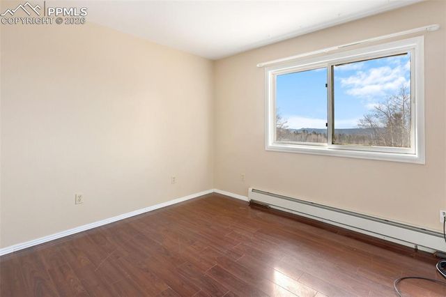1874 Vagabond Creek Drive, Lake George, CO 80827