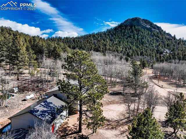 1874 Vagabond Creek Drive, Lake George, CO 80827
