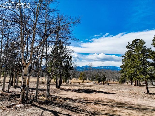 1874 Vagabond Creek Drive, Lake George, CO 80827