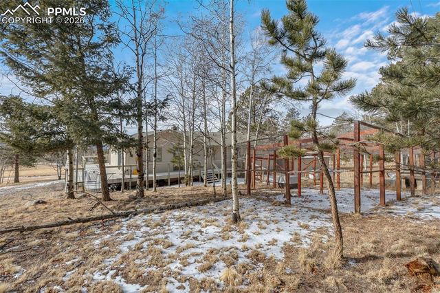 1874 Vagabond Creek Drive, Lake George, CO 80827