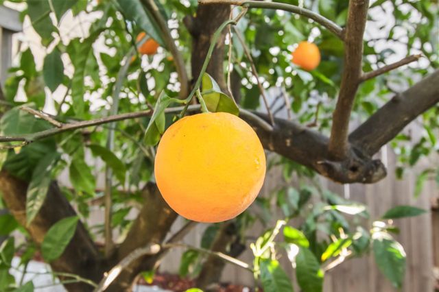 2216 Bryce Ln, Davis, CA 95616