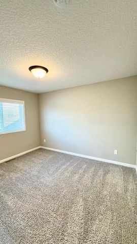 2422 Buffalo Ridge Drive, Buffalo, MN 55313