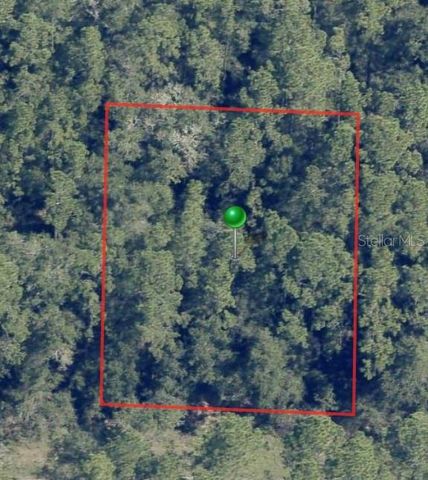 225 E ENFIELD LANE, Citrus Springs, FL 34434