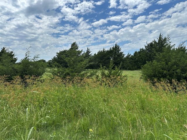 Lot 6 Lemonade Lane, Farmersville, TX 75442