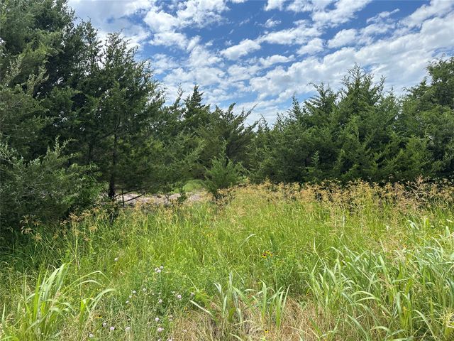 Lot 6 Lemonade Lane, Farmersville, TX 75442