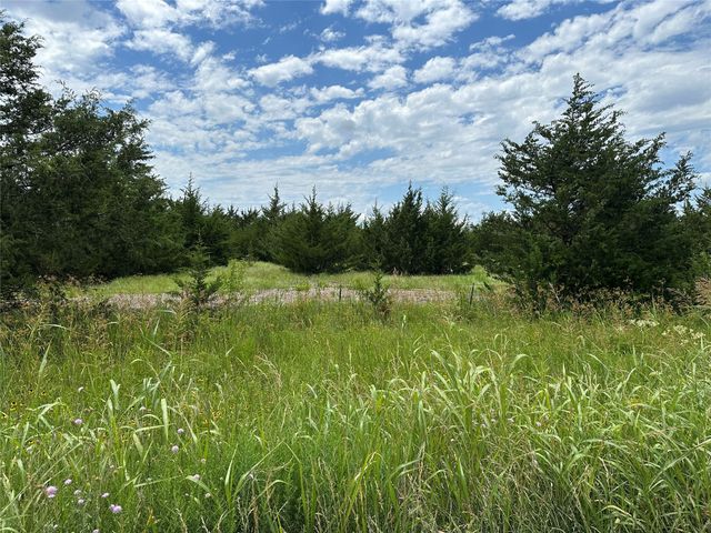 Lot 6 Lemonade Lane, Farmersville, TX 75442