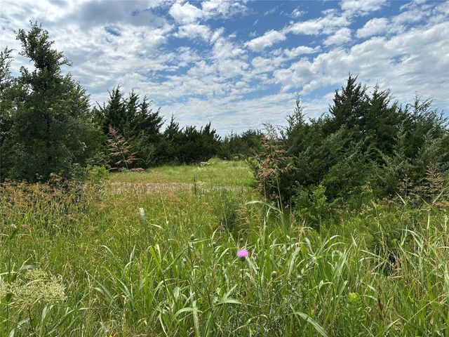 Lot 6 Lemonade Lane, Farmersville, TX 75442