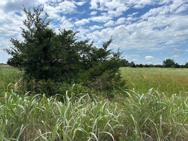 Lot 6 Lemonade Lane, Farmersville, TX 75442