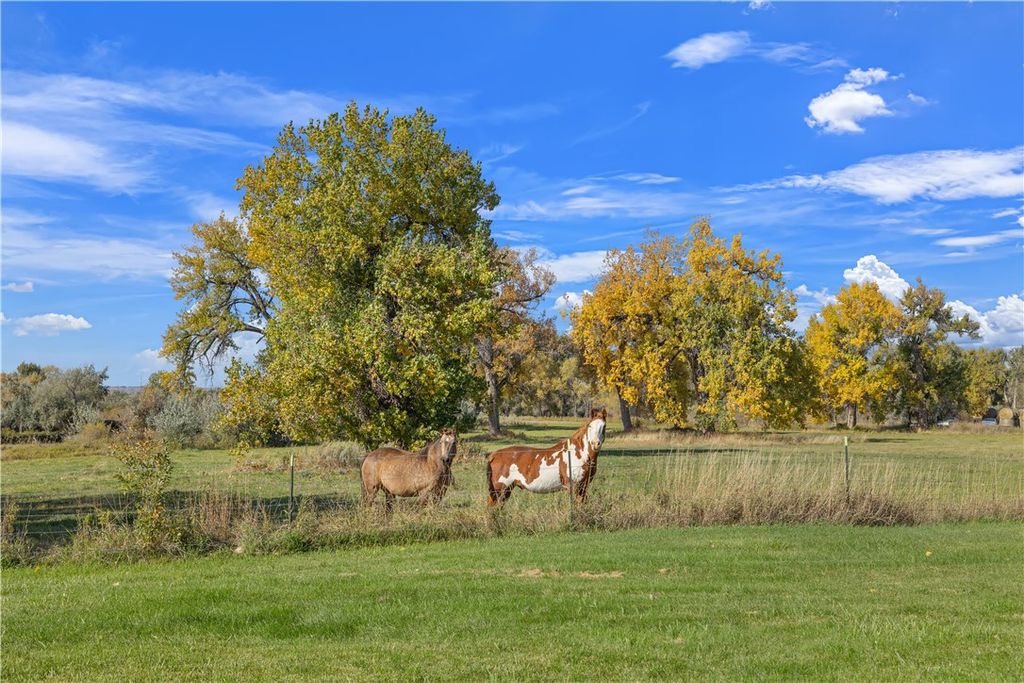 4320 Moser Dome Rd Moser Dome Rd, Joliet, MT 59044 photo 17